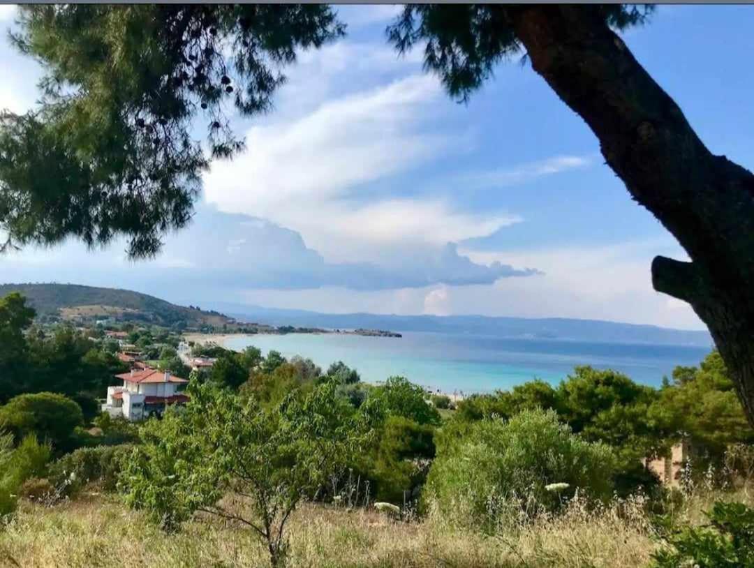 Seaview Oasis Διαμέρισμα Νικήτη Εξωτερικό φωτογραφία