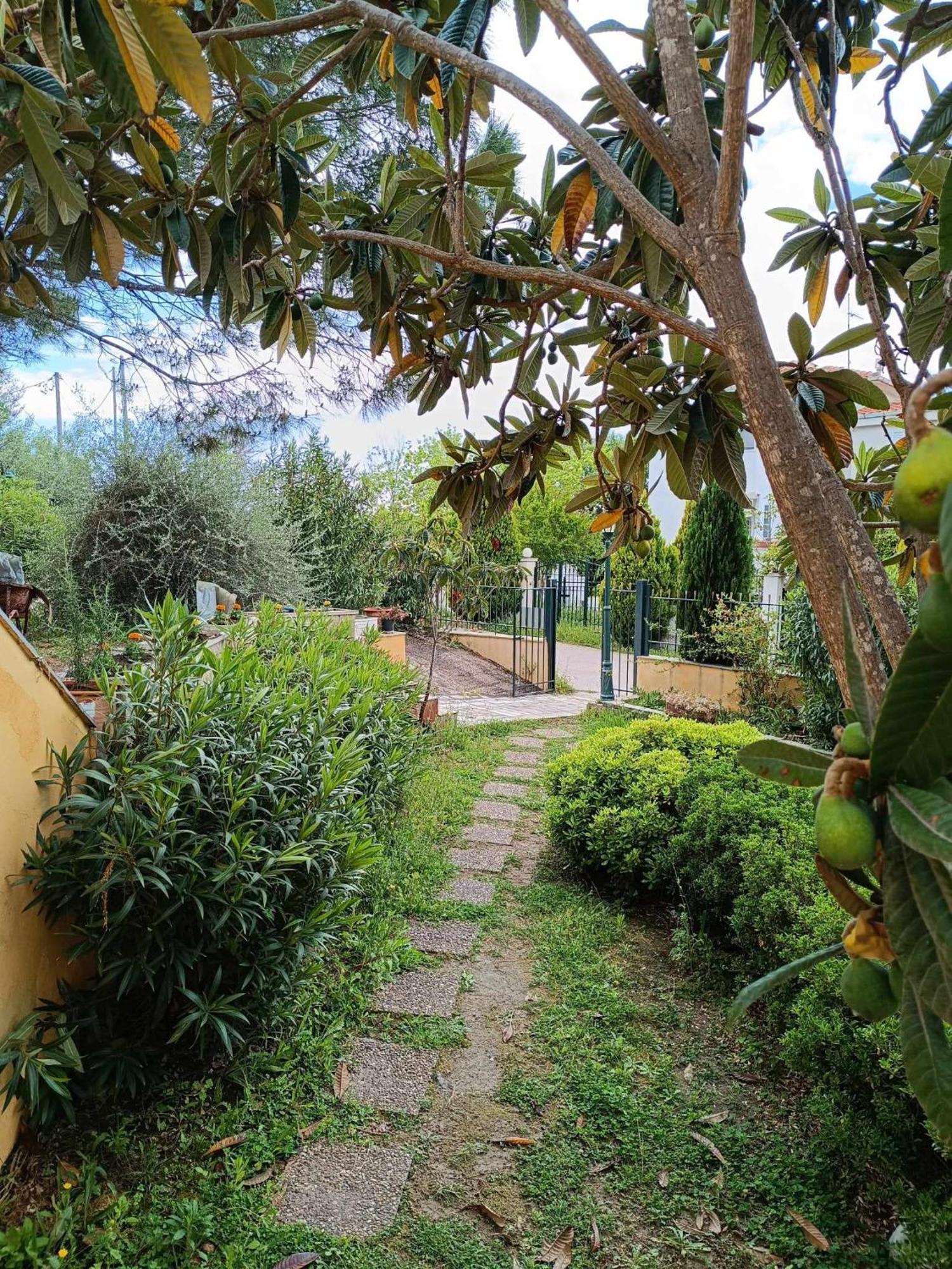 Seaview Oasis Διαμέρισμα Νικήτη Εξωτερικό φωτογραφία