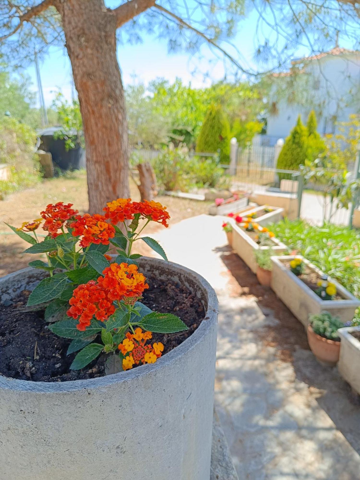 Seaview Oasis Διαμέρισμα Νικήτη Εξωτερικό φωτογραφία